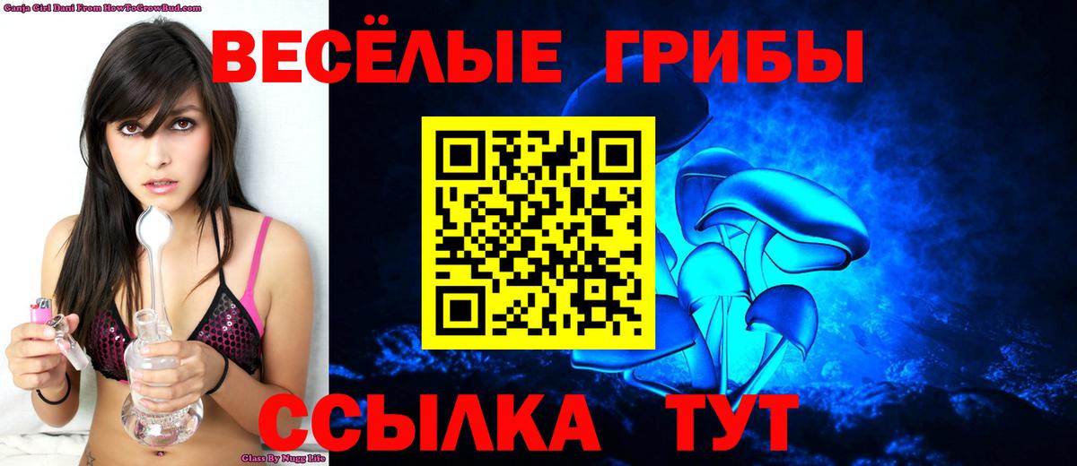Галлюциногенные грибы прущие грибы  купить закладку  Знаменск  Вход с VPN 